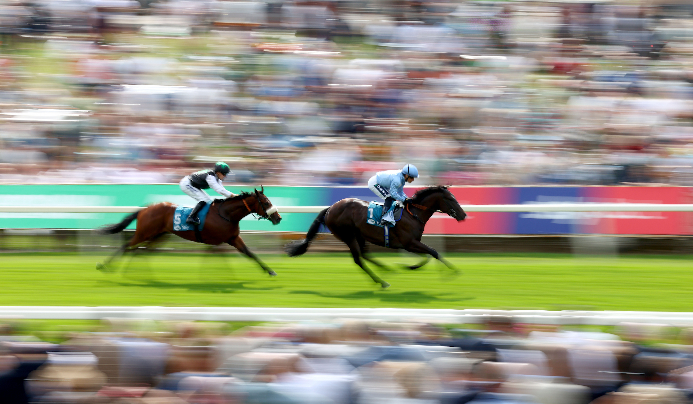 Global interest at record level for Sky Bet Ebor Festival